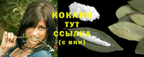меф Вяземский