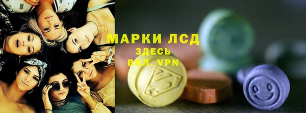 гидра Вязьма