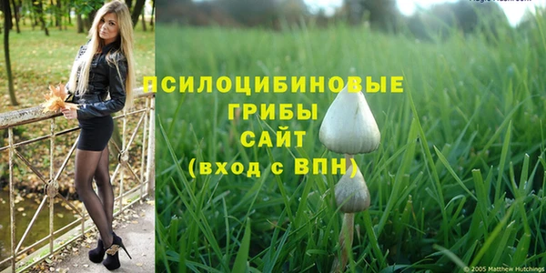 МДПВ Вязники