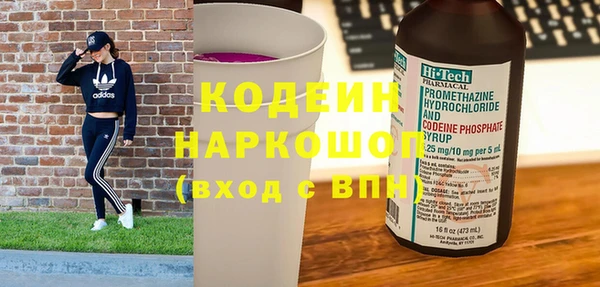 гидра Вязьма