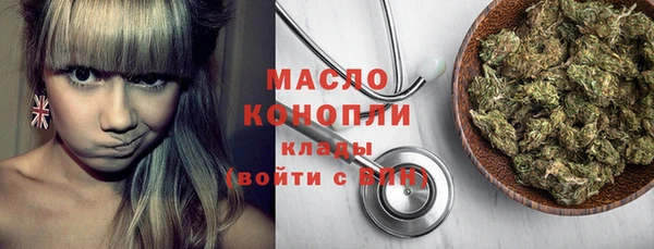 индика Дмитровск