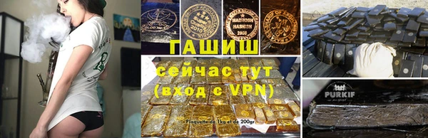гидра Вязьма