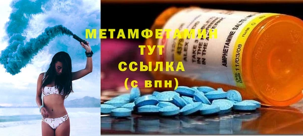гидра Вязьма
